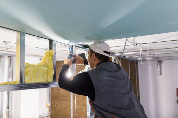 Best Professional Insulation Contractor  in Derby, CO