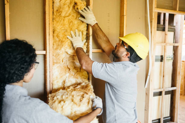 Insulation Replacement Services in Derby, CO