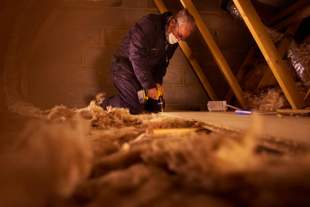 Best Best Insulation Companies  in Derby, CO