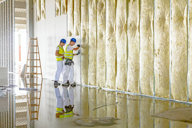 Best Insulation Installation Cost  in Derby, CO